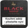 Villiger Black mini Sumatra 20 ks