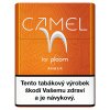 Camel for Ploom - amber