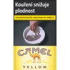 Camel yellow  POPULÁRNÍ ŽLUTÉ CAMELKY