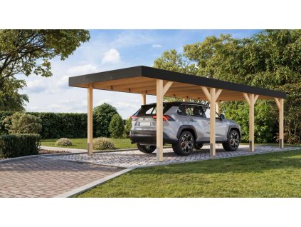 carport KARIBU LEIMHOLZ 2 (12152) LG4459