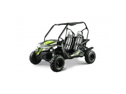 buggy leramotors predator 208 automat zelena