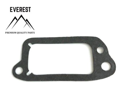 Těsnění krytí ventilů BRIGGS&STRATTON QUANTUM EVEREST