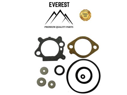 SADA TĚSNĚNÍ BRIGGS&STRATTON QUANTUM EVEREST