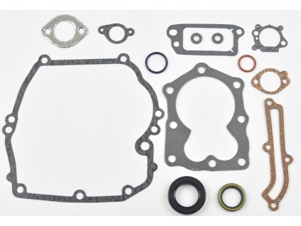 SADA TĚSNĚNÍ BRIGGS&STRATTON QUANTUM