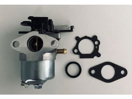 KARBURÁTOR BRIGGS&STRATTON SERIA 700, 750 DOV