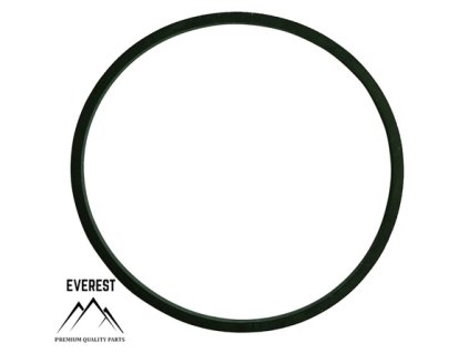 TĚSNĚNÍ BRIGGS&STRATTON 281165S EVEREST