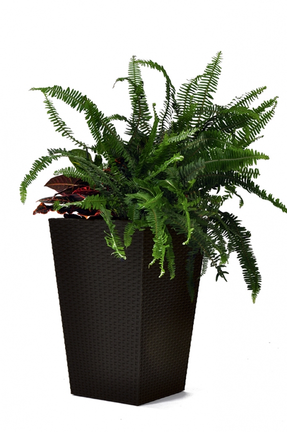 KETER Květináč Rattan Planter M - hnědý