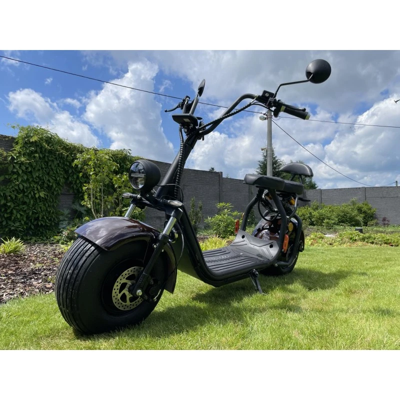 Leramotors Lera Scooters C1+ 1500W - elektrická koloběžka,  hnědá