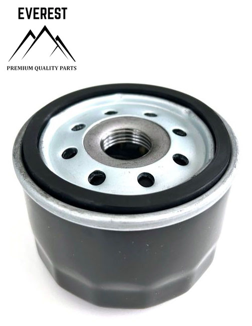 OLEJOVÝ FILTR BRIGGS&STRATTON TRAKTORY EVEREST