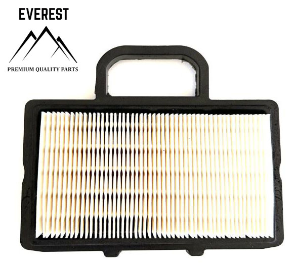 VZDUCHOVÝ FILTR BRIGGS&STRATTON 2 VÁLCE NOVÝ TYP EVEREST