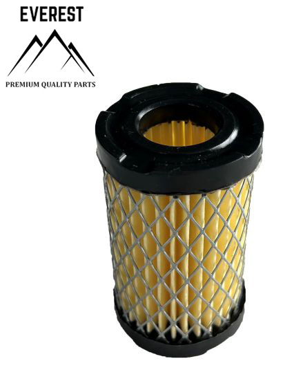 VZDUCHOVÝ FILTR TECUMSEH TVS EVEREST