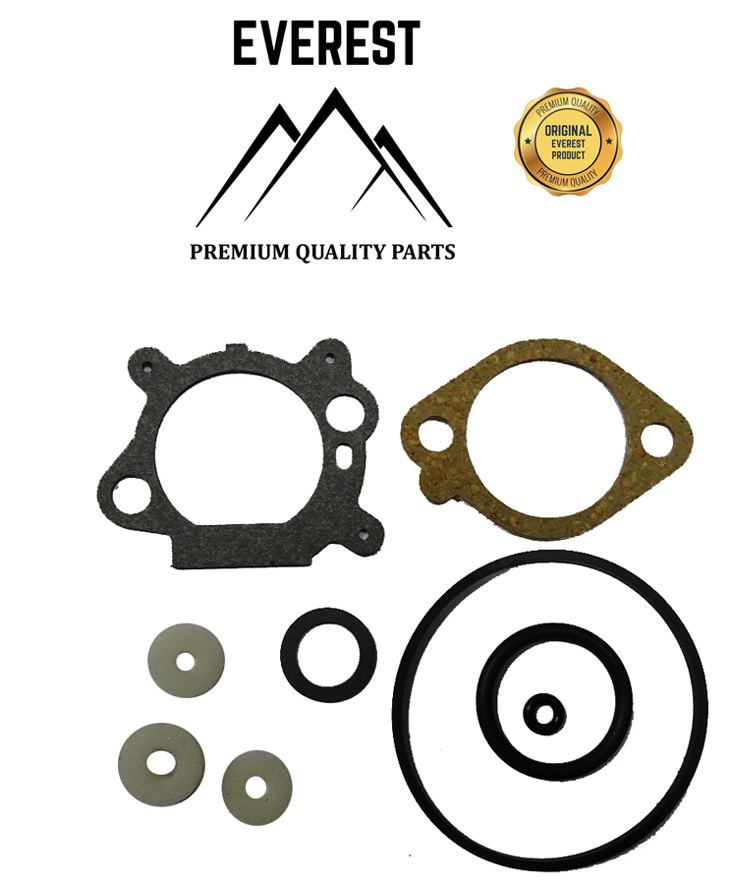 Levně SADA TĚSNĚNÍ BRIGGS&STRATTON QUANTUM EVEREST