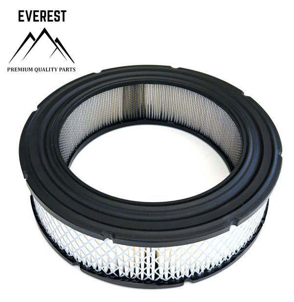 Levně BRIGGS VZDUCHOVÝ FILTR BRIGGS&STRATTON VANGUARD 692519 EVEREST