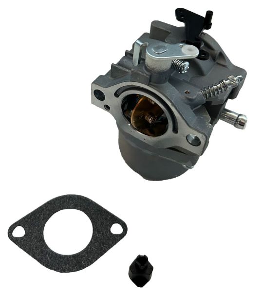 Levně KARBURÁTOR BRIGGS&STRATTON 495706, 498027, 498231, 499161, 799728