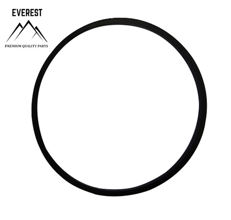 TĚSNĚNÍ BRIGGS&STRATTON 693981 EVEREST