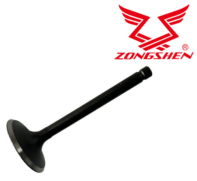 Sací ventil ZONGSHEN GB420