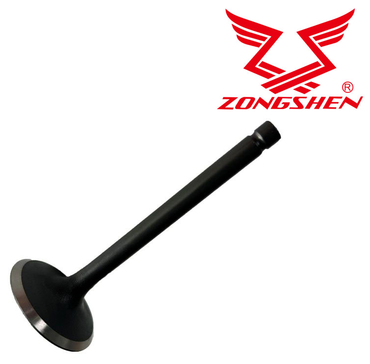 Sací ventil ZONGSHEN XP380, XP440
