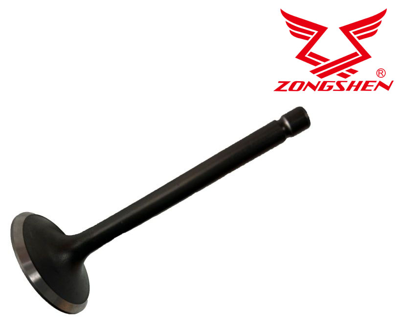 Sací ventil ZONGSHEN GB680, XP680