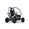 buggy leramotors razor ii deluxe 1000w cerna