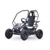 buggy leramotors razor ii deluxe 1000w cerna