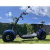 elektrokolobezka lera scooters c1 1500w modra