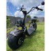 elektrokolobezka lera scooters c1 1500w hneda