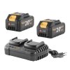 8565 sada dve baterie 20v 4ah procraft 204 ata 40b a nabijecka na dve baterie 202 2x204ata 40b 202