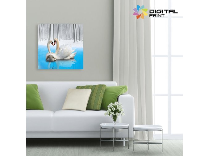 digitalny obraz na stenu akcia swan
