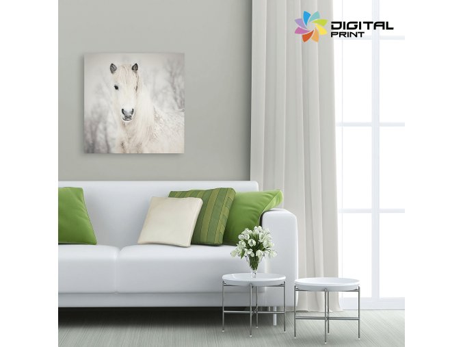 digitalny obraz na stenu white horse