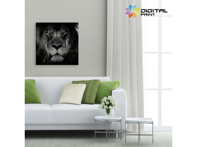 digitalny obraz na stenu akcia lion black