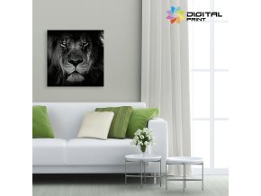 digitalny obraz na stenu akcia lion black