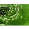 Mikroplyšové povlečení - DANDELION GREEN