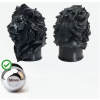 2663 1 krytka koule lion