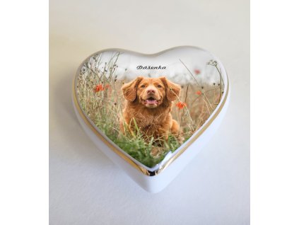 urna mini srdce pes