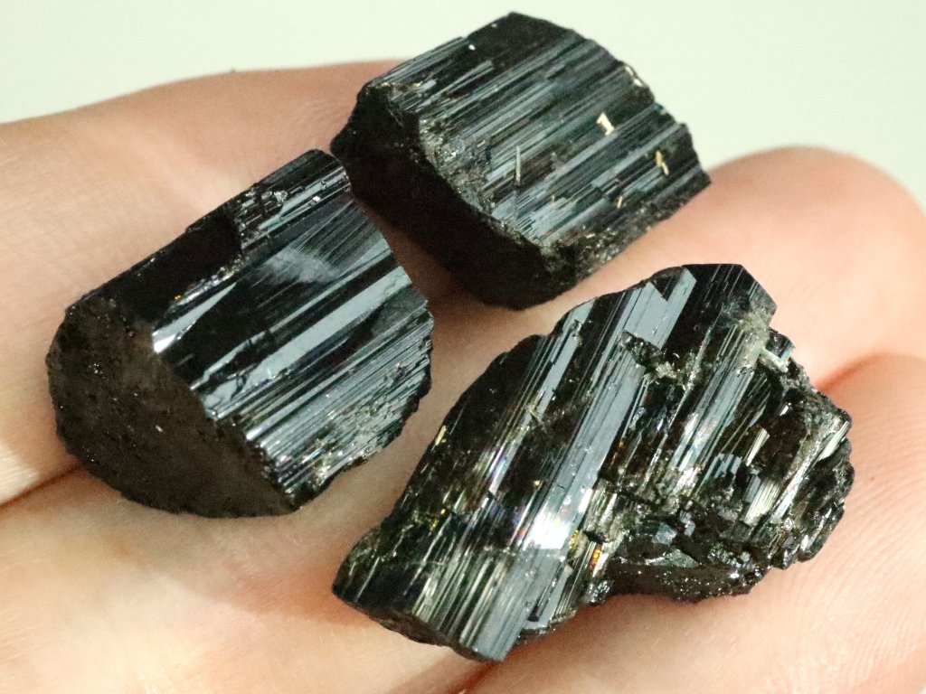 skoryl vysocina obrazek 1