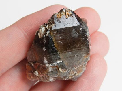 zahneda krystal temne hnedy tmavy kremeni narostla moravska obrazky 1