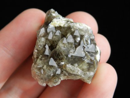 zahneda srostlice krystalku spicek suky pole obrazky 1