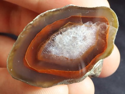 achat pecka polovina seriznuta 1