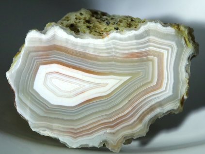 achat bily sedy cesky 1