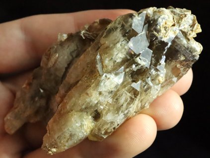 zahneda elestial bobruvka 1