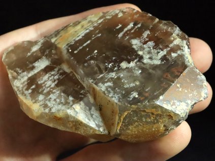 srostlice zahned vnitrni svet 1