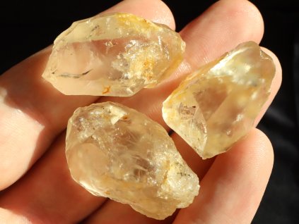 citriny prave ceske obrazky 1