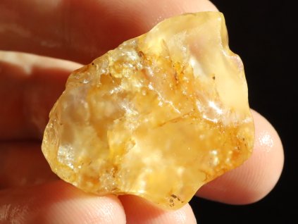 citrin podmanive zluty 1