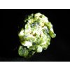 epidot zeleny krystaly srostlice sobotin pfarrerb jeseniky prodej 6