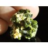 epidot zeleny kamen krystalky.srostlice obrazek 1
