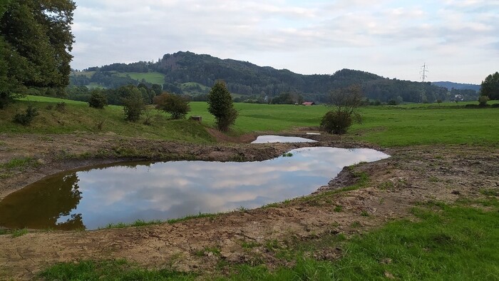 Ohlédnutí za programem péče o krajinu 2021