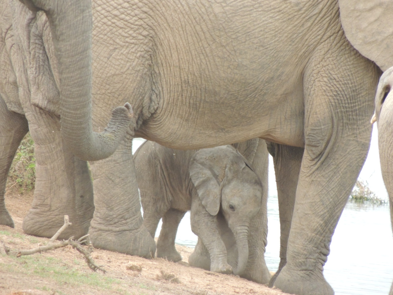 Státy se dohodly společně chránit přírodu a její rozmanitost