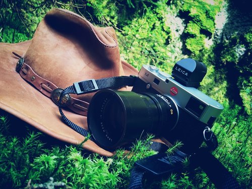 Jaké je to být dobrovolným strážcem parku