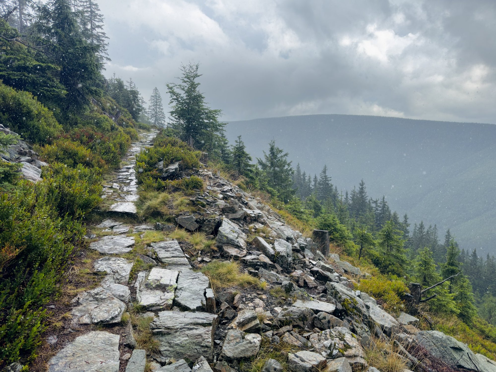 Zprávy z NP - Užijte si Krkonošský národní park… s respektem