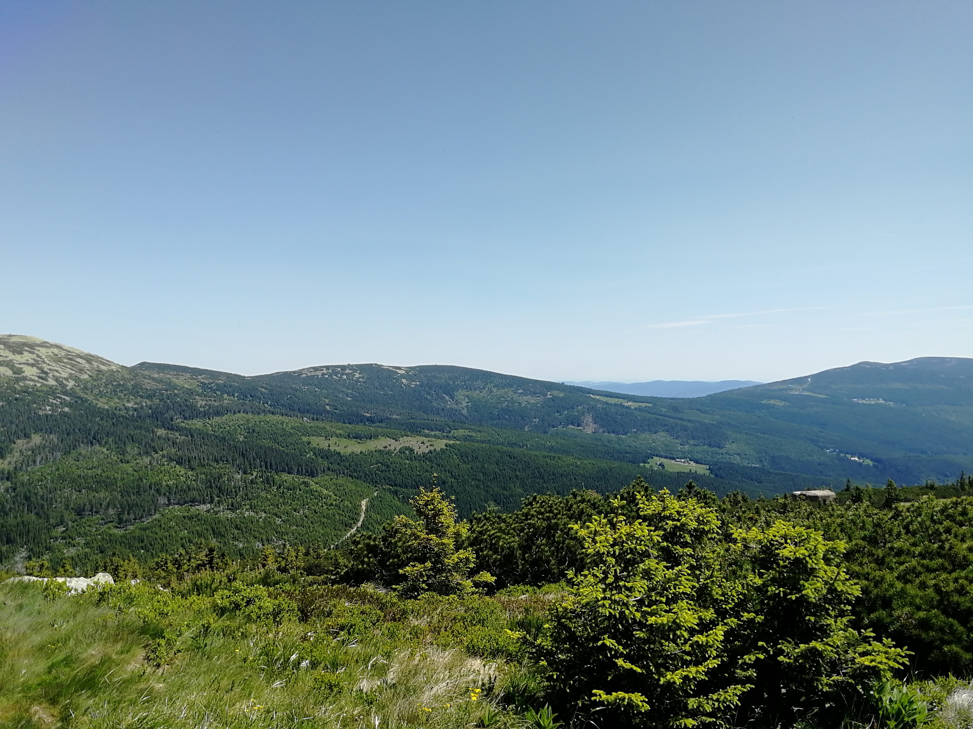 Dnes slaví pestrost přírody. I té krkonošské